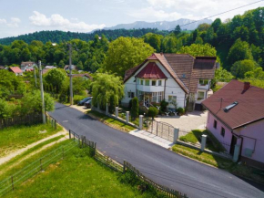 Отель Vila Daiana  Мойчиу Де Жос